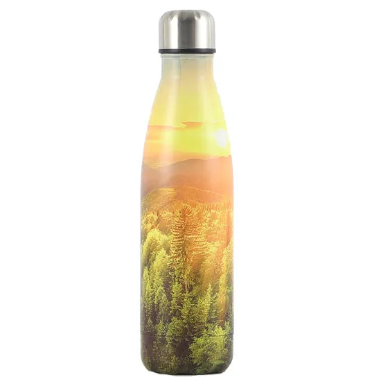 Stainless steel vacuum bottle