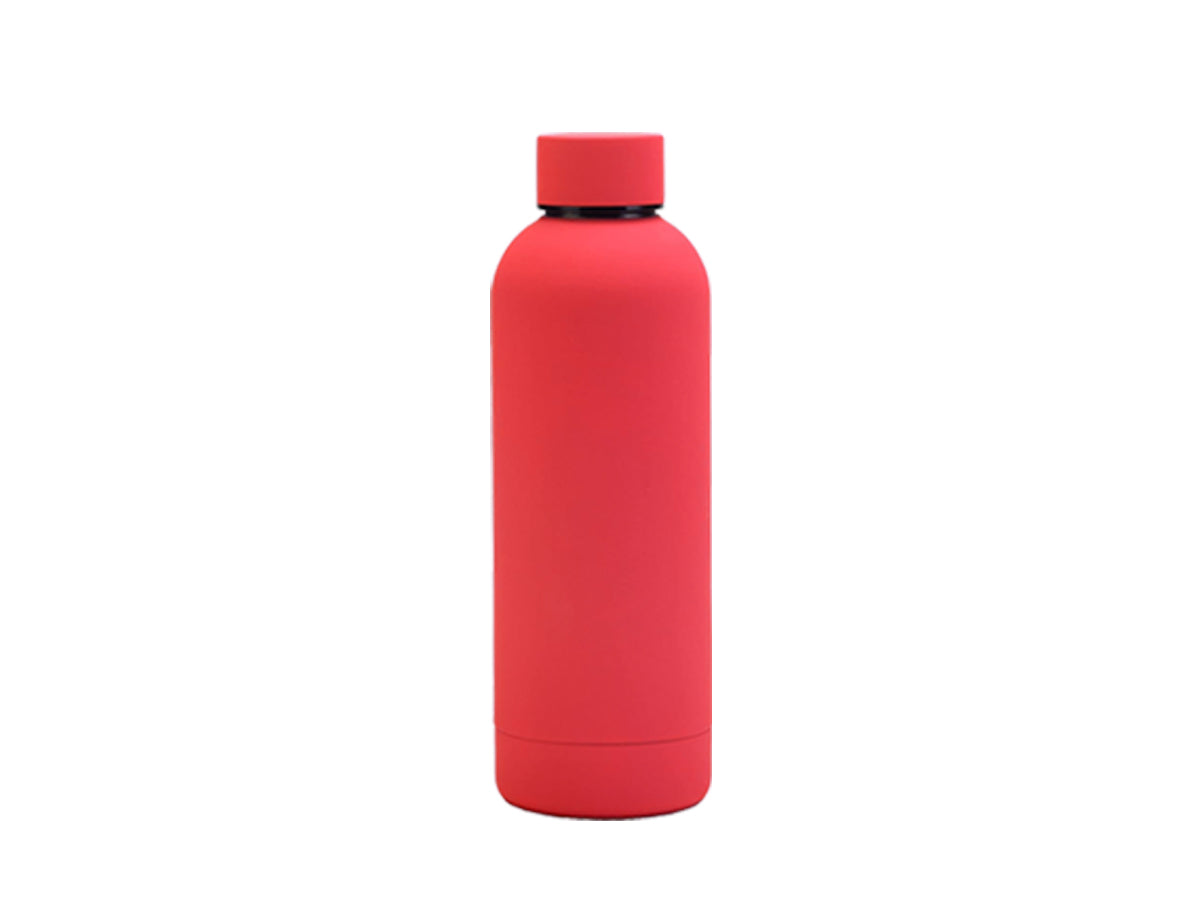 Stainless steel water bottle